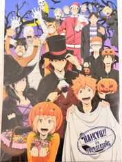 Haikyuu!!  Official Collector A4 Folder 263138