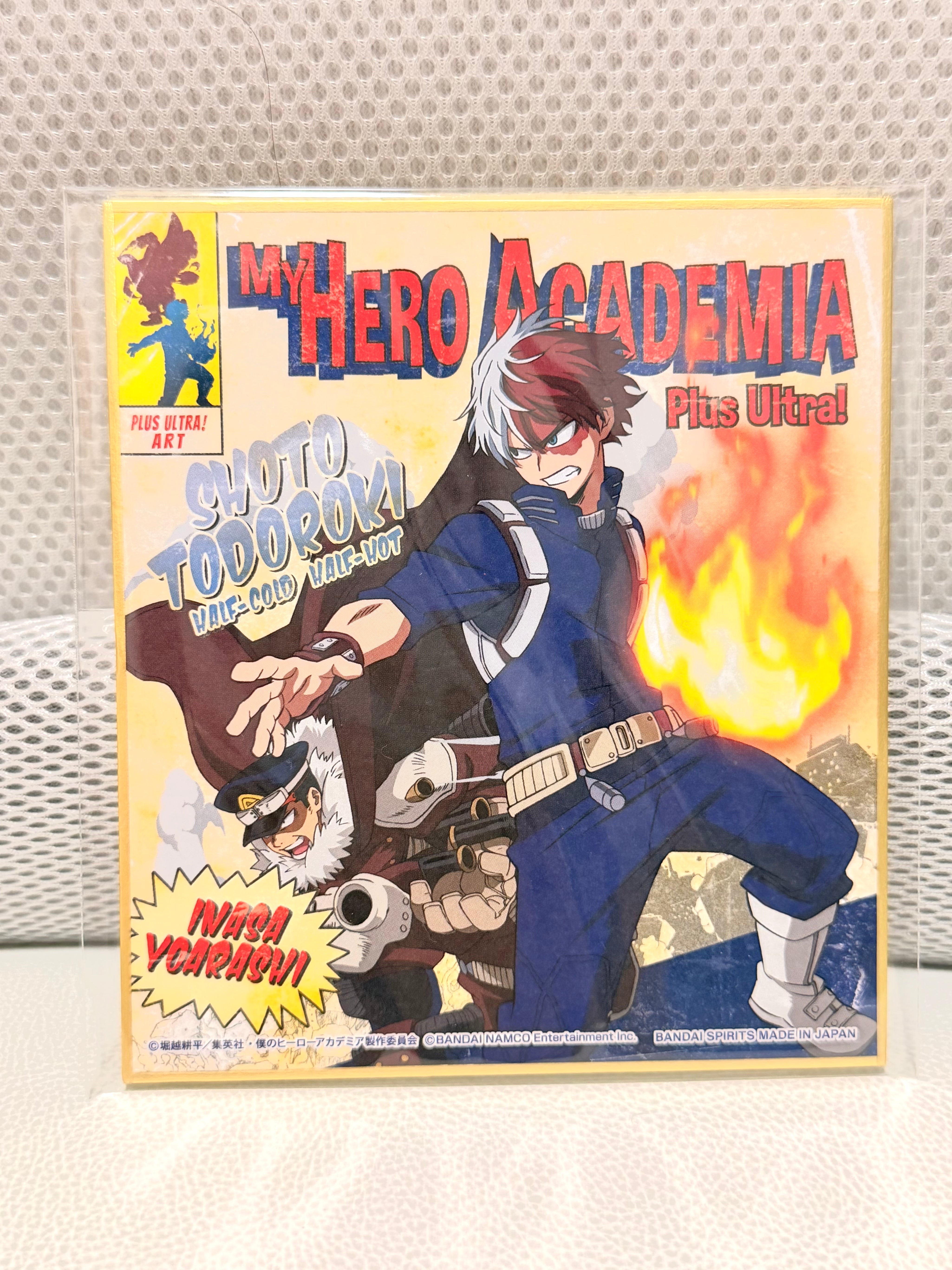 My Hero Academia Shoto Official Collector Postcard A5 263141