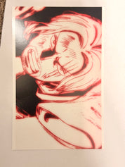 One Piece Movie Red Luffy and Shanks Set of 2 Official Collector Postcard A5 263115