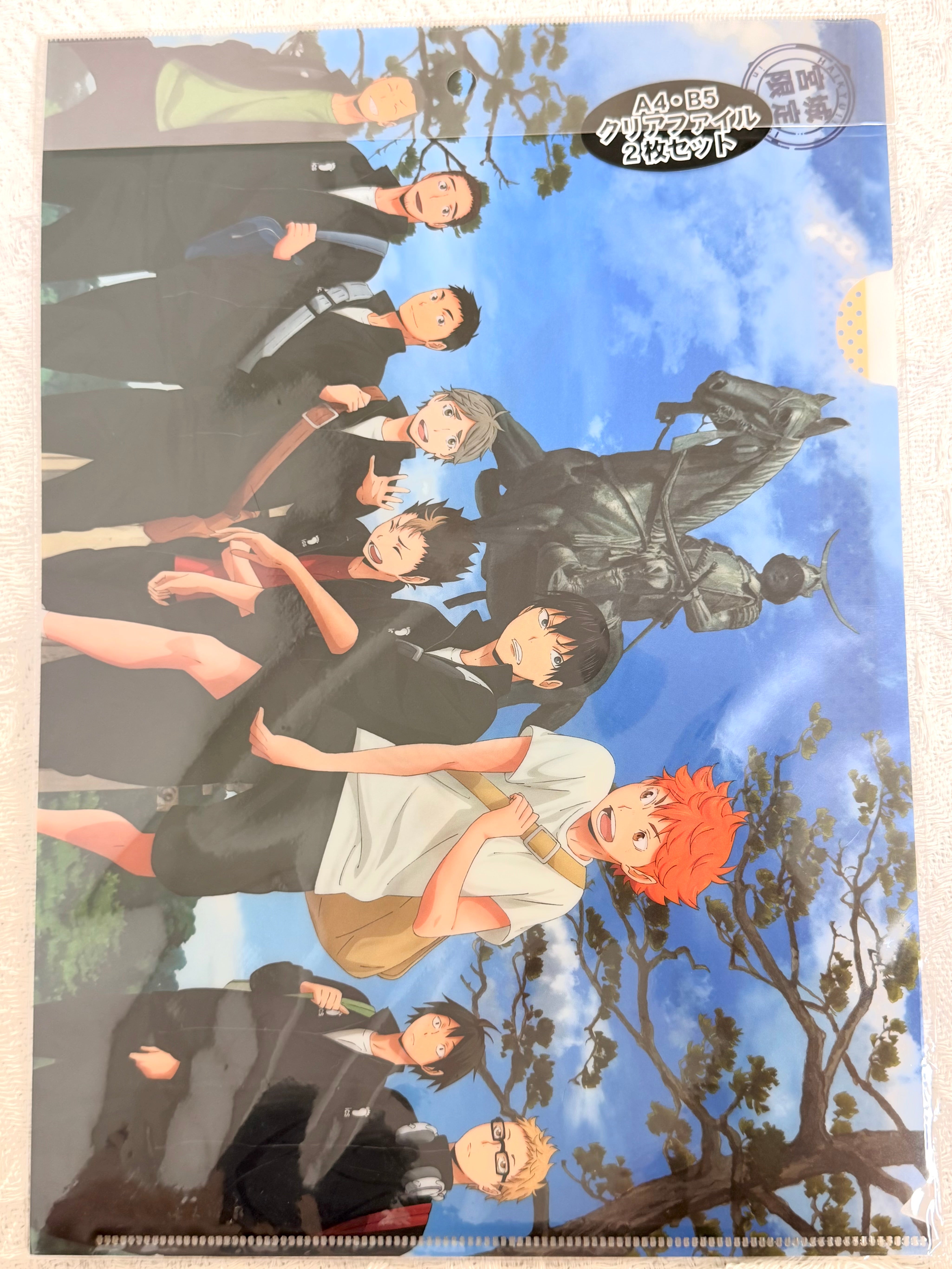 Haikyuu!!  Official Collector A4 Folder 263114