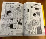 Banana Fish: Official Japanese Guidebook (RARE)