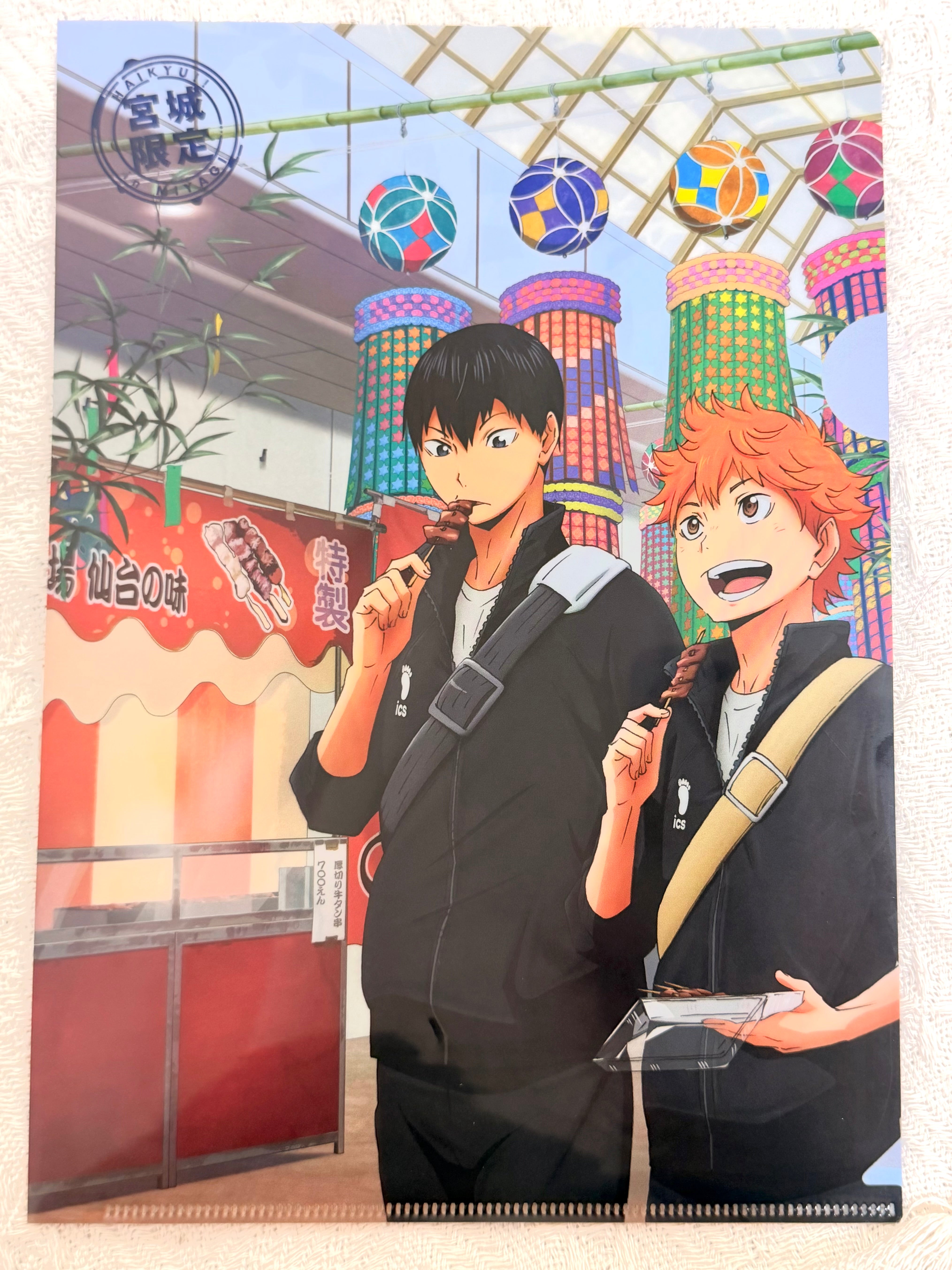 Haikyuu!!  Official Collector A4 Folder 263115
