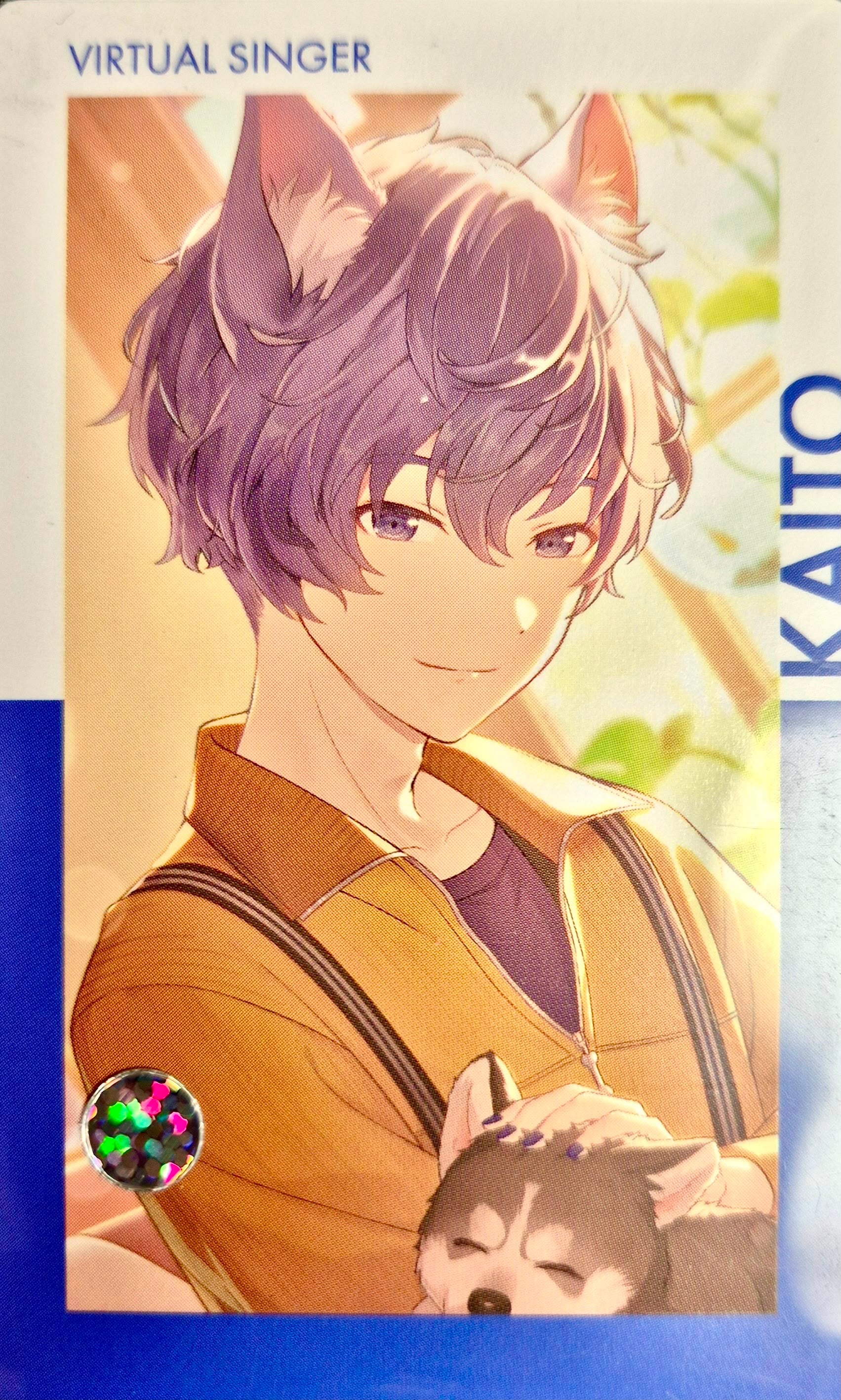 Vocaloid Project Sekai Collector Card 38 Kaito