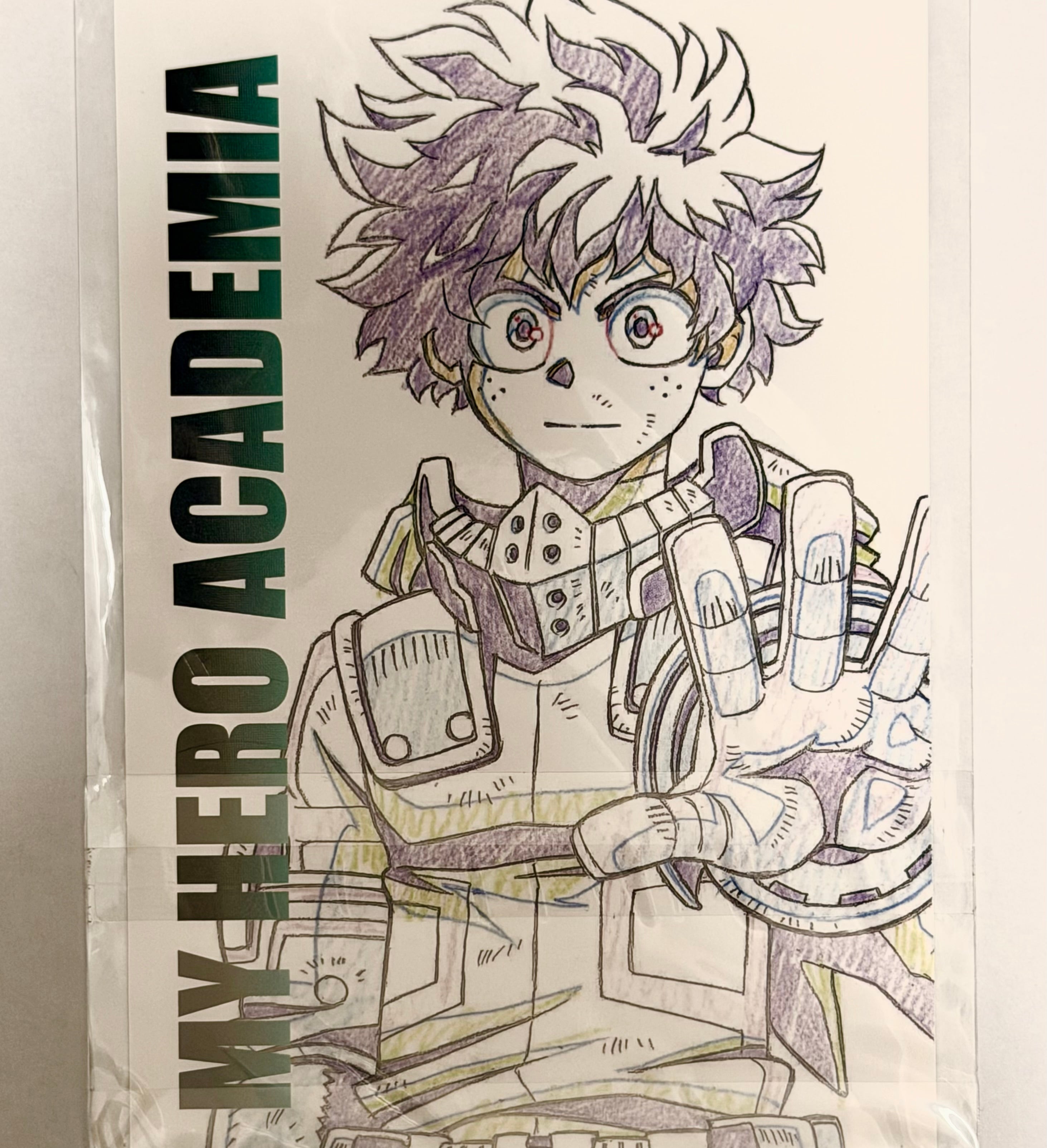 My Hero Academia Midoriya Official Collector Postcard A5 263134