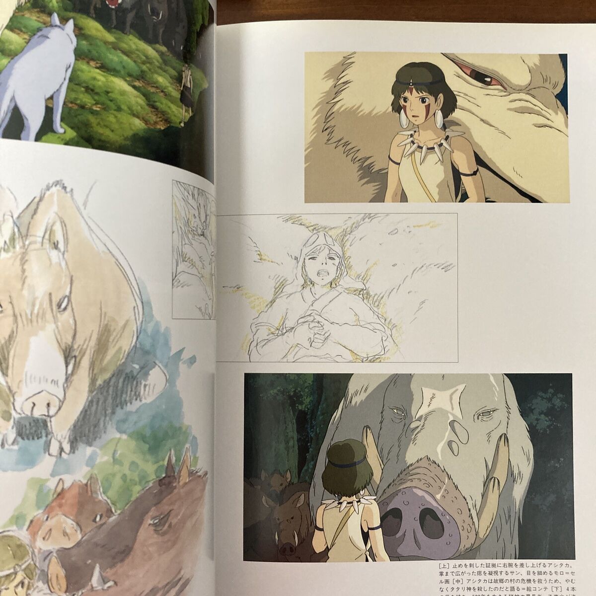 The Art of Princess Mononoke by Studio Ghibli Paper Back (some pages are mildly damaged)