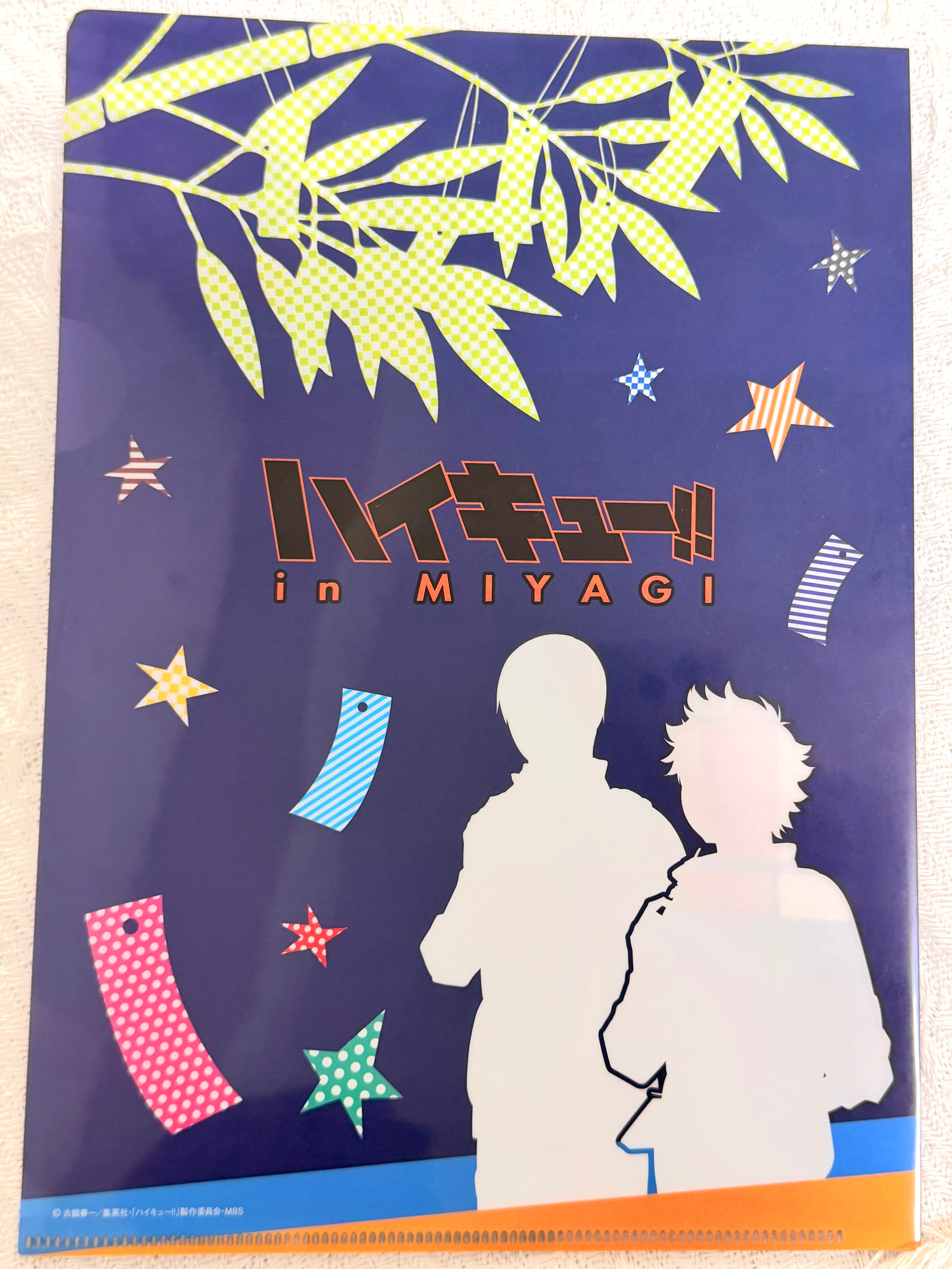 Haikyuu!!  Official Collector A4 Folder 263115