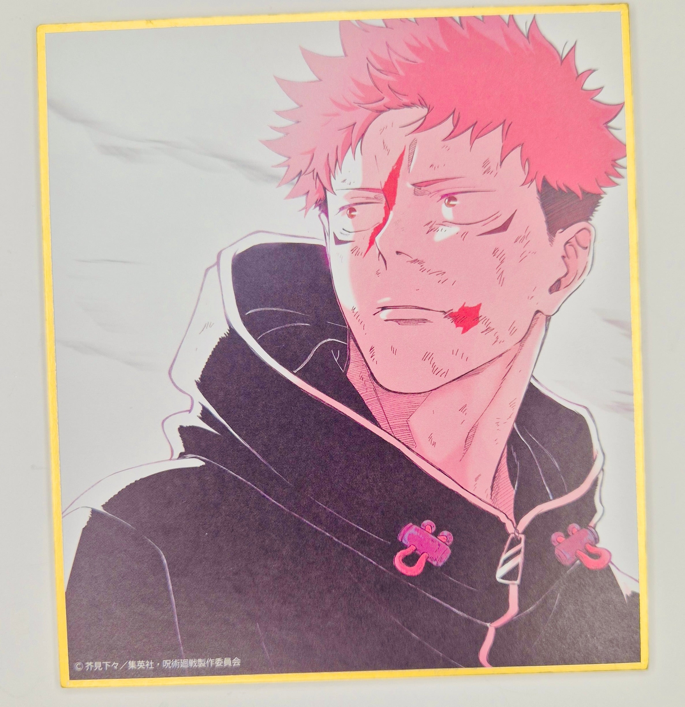 Jujutsu Kaisen Culling Game Yuji  Collector Shikishi Board JP