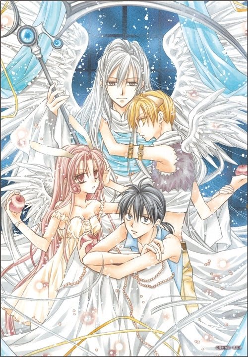 Tanemura Arina Hardcover Artbook English RARE out of print