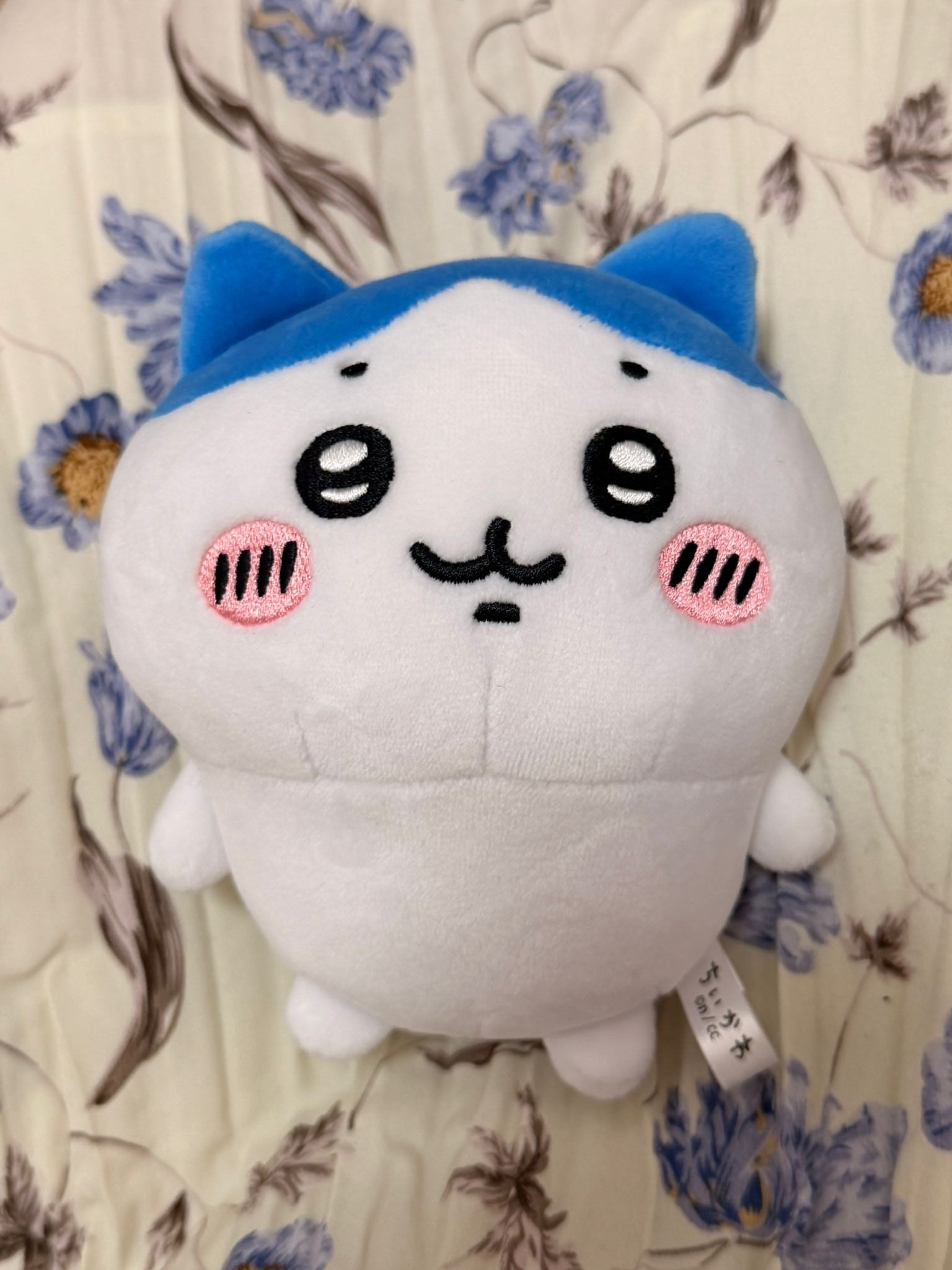 Chiikawa - hachiware plush JP