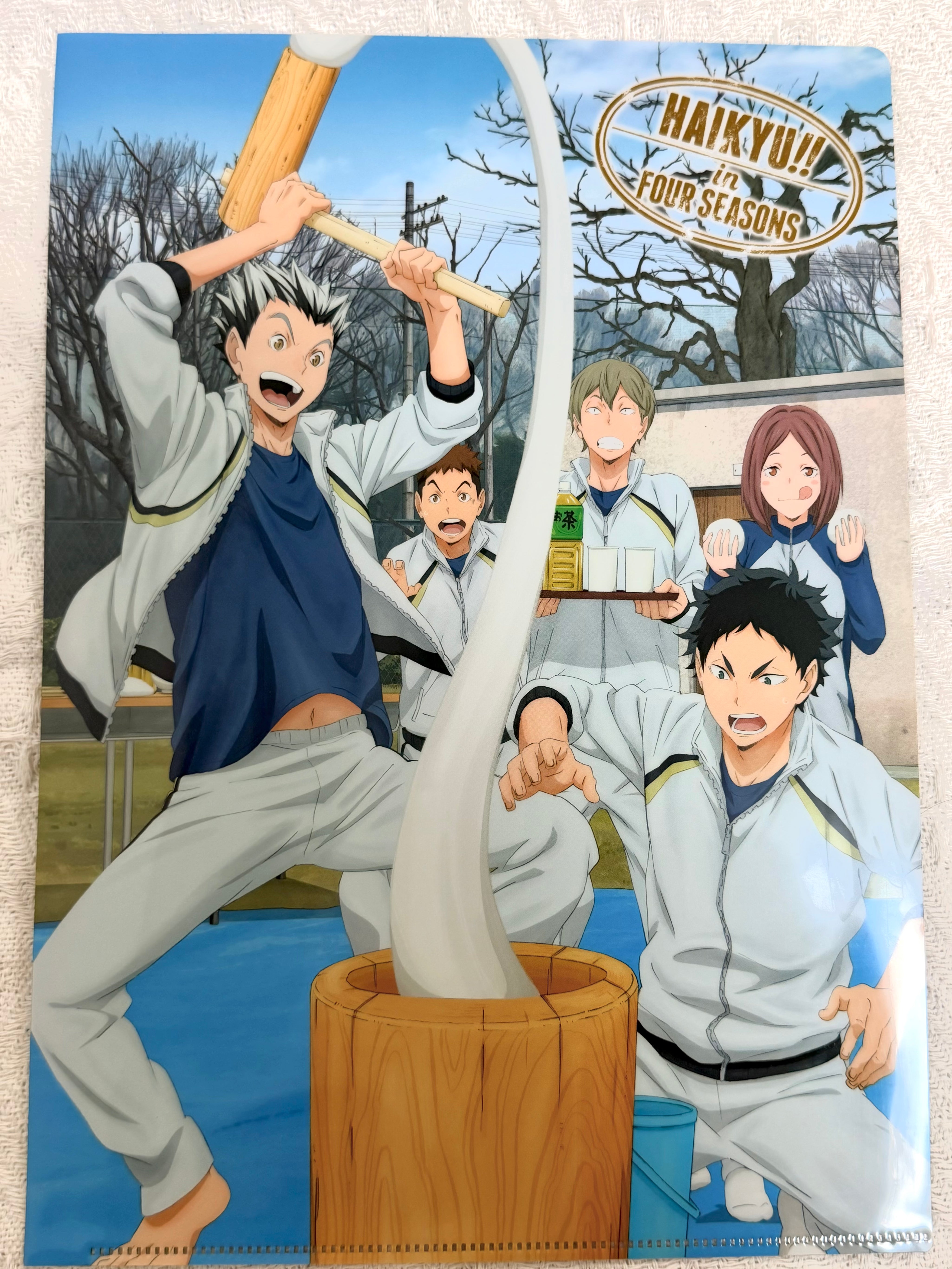 Haikyuu!! Obanai Official Collector A4 Folder 263116