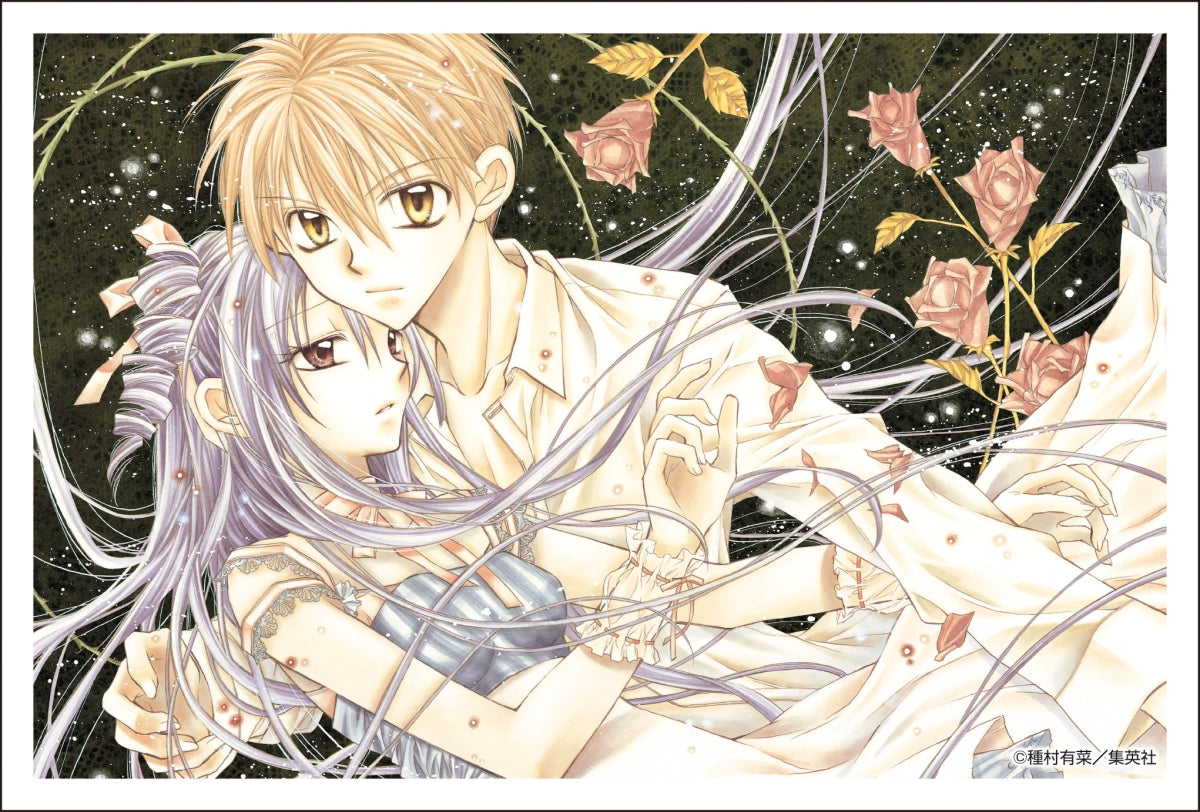 Tanemura Arina Hardcover Artbook English RARE out of print