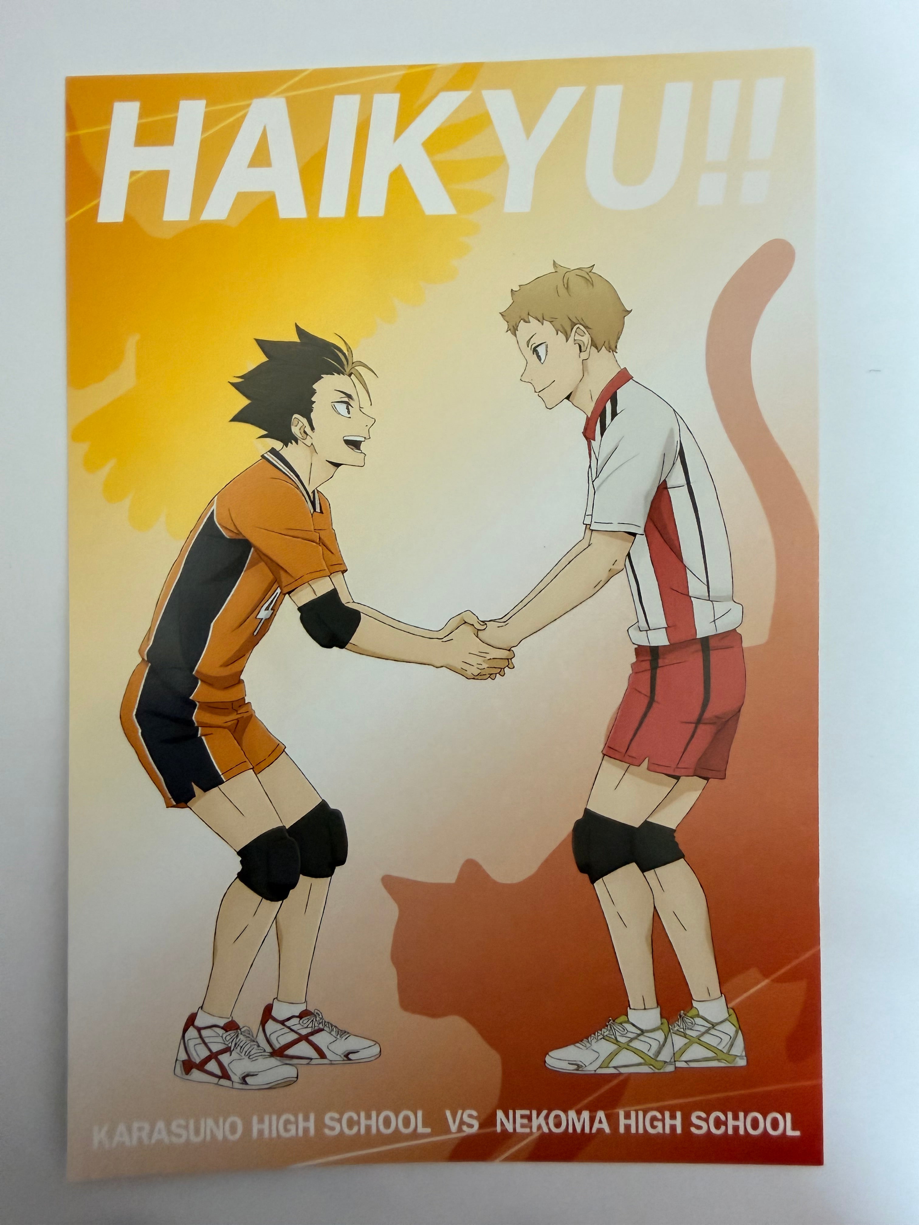 Haikyuu!! Official Postcard 261784