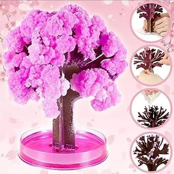 Magic Sakura Paper Craft Growing Tree DIY