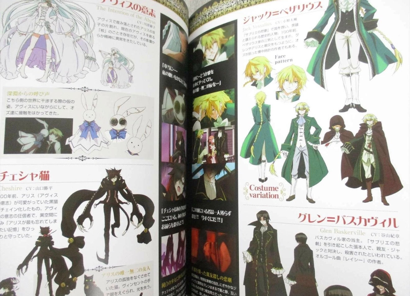 Pandora Hearts Official Anime Guidebook JP Rare