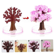 Magic Sakura Paper Craft Growing Tree DIY