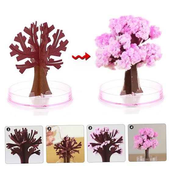Magic Sakura Paper Craft Growing Tree DIY