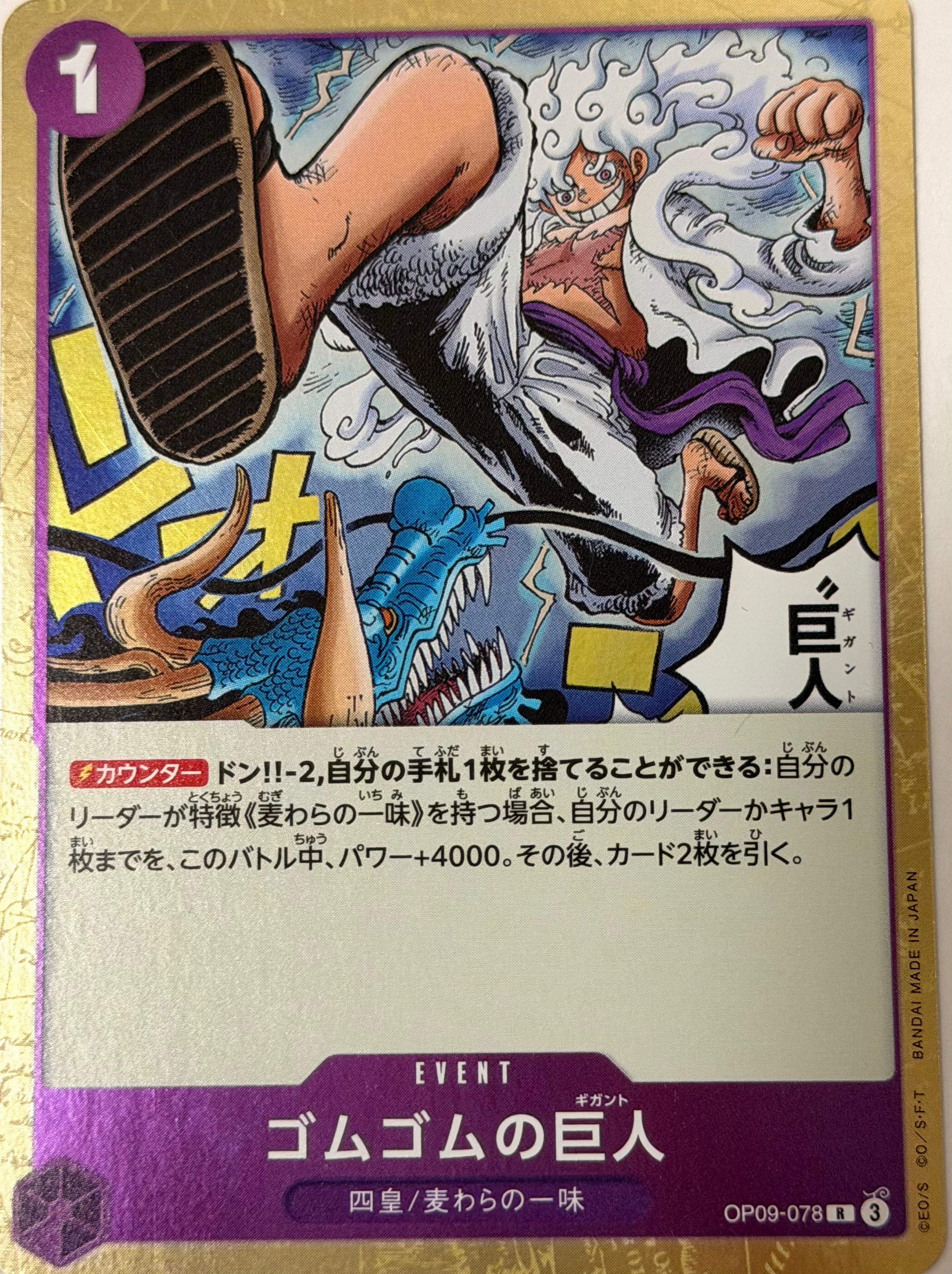 One Piece Card 51