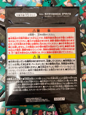 Jujutsu Kaisen Ichiban Kuji Blind Bag Magnet and Sticker Set (1 Random)