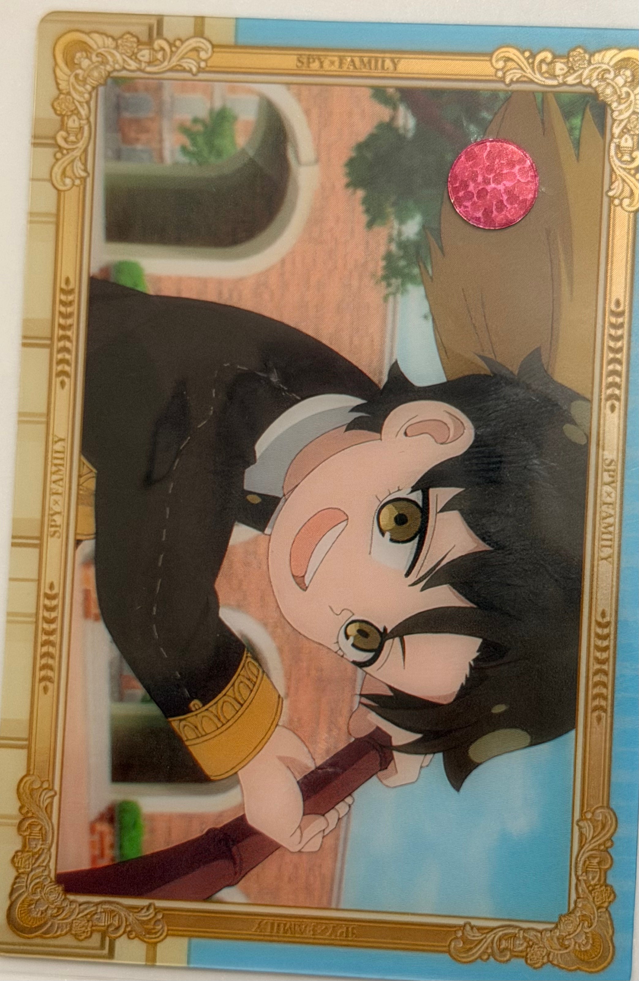 Spy x Family Official Collector Cards JP