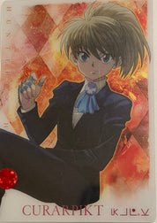 HUNTER X HUNTER Official Collector Cards JP RARE