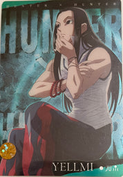 HUNTER X HUNTER Official Collector Cards JP RARE
