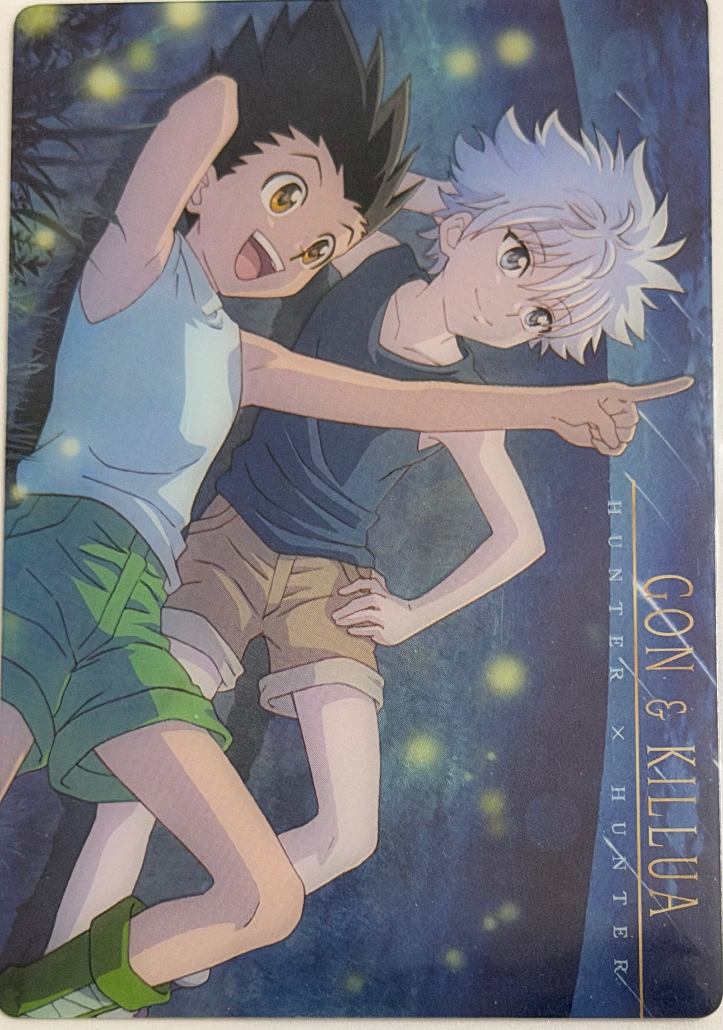 HUNTER X HUNTER Official Collector Cards JP RARE
