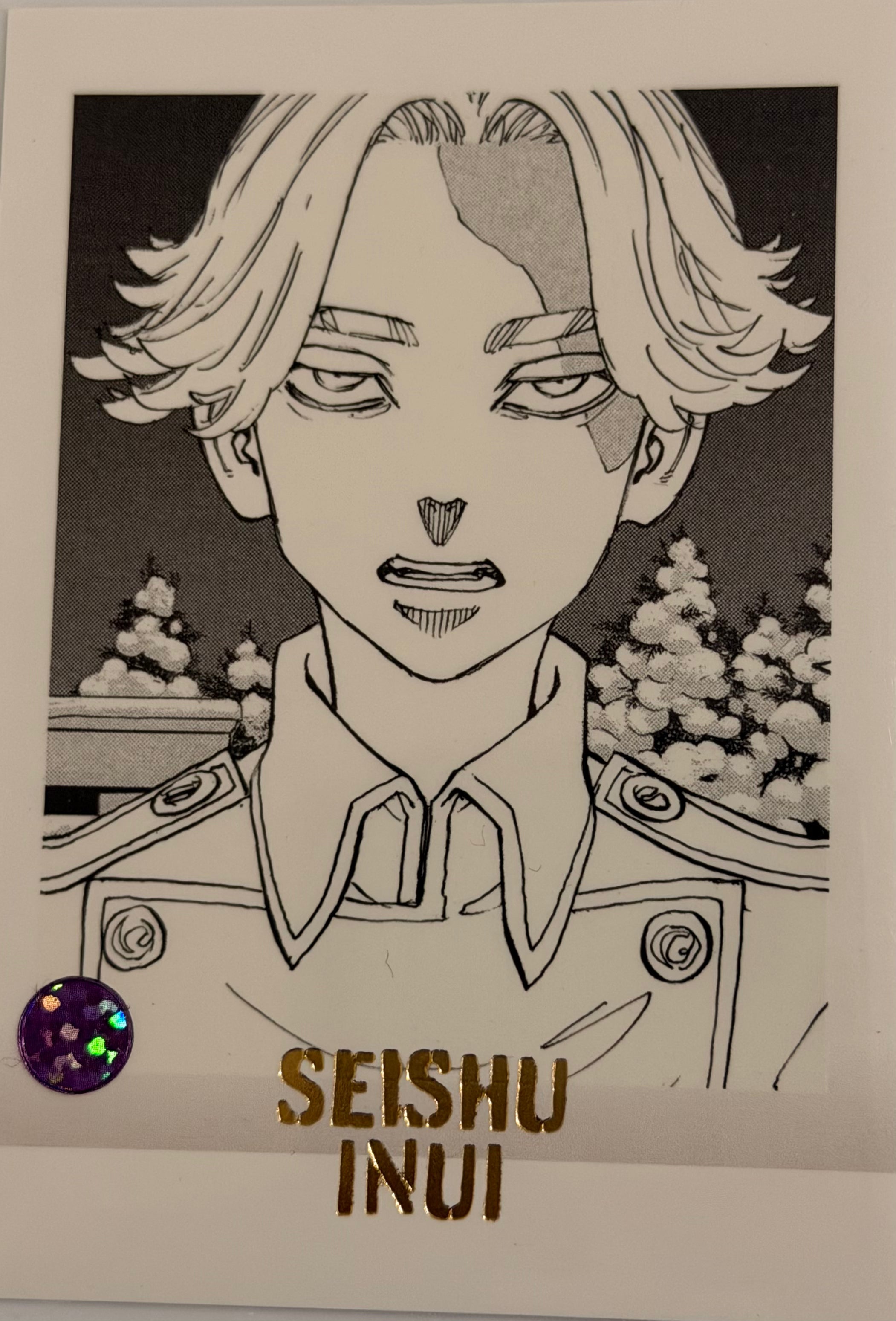 Tokyo Revengers Official Collector Cards JP