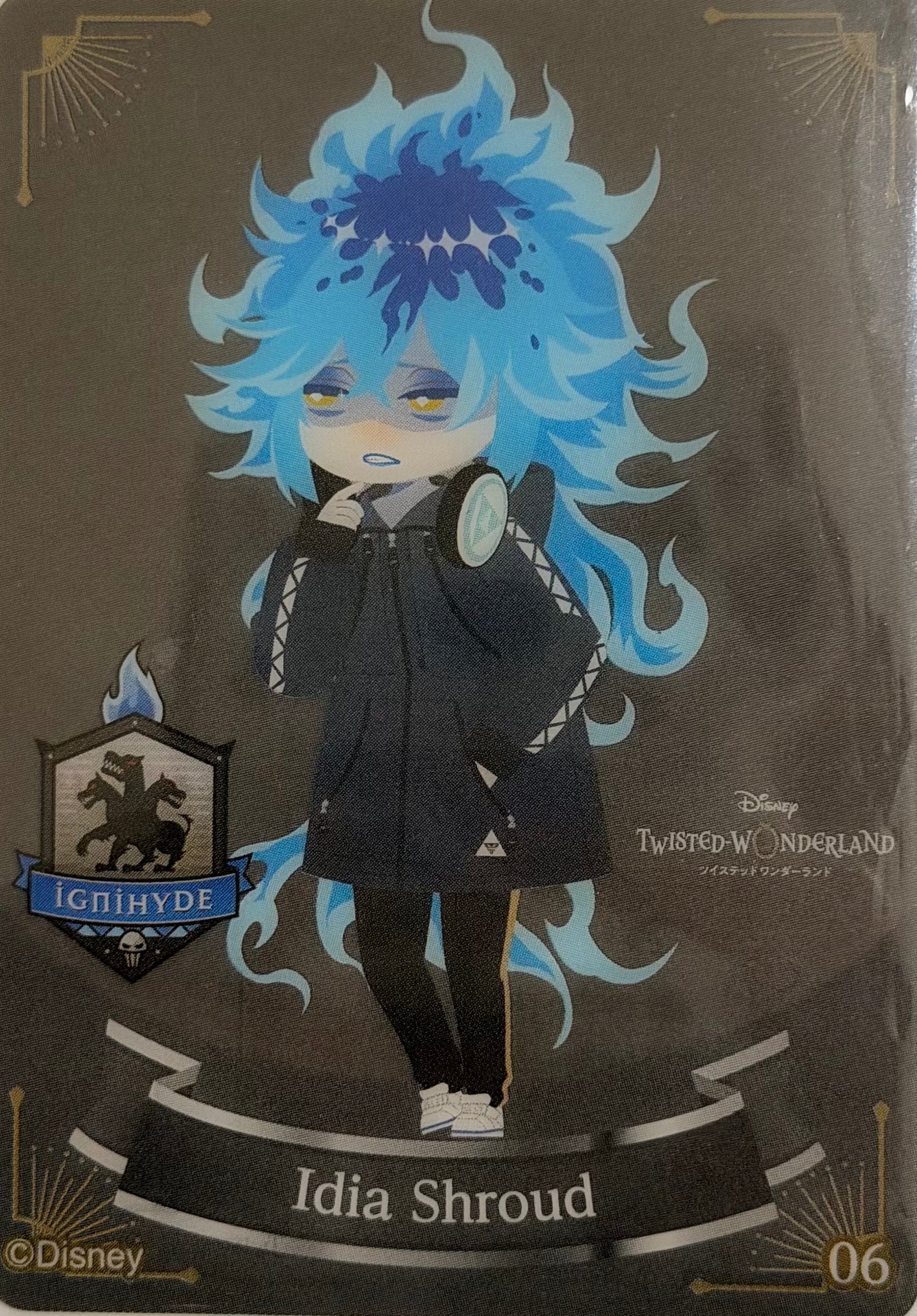 Twisted Wonderland Official Collector Collector Cards JP 7