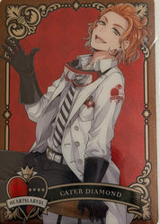 Twisted Wonderland Official Collector Collector Cards JP 1