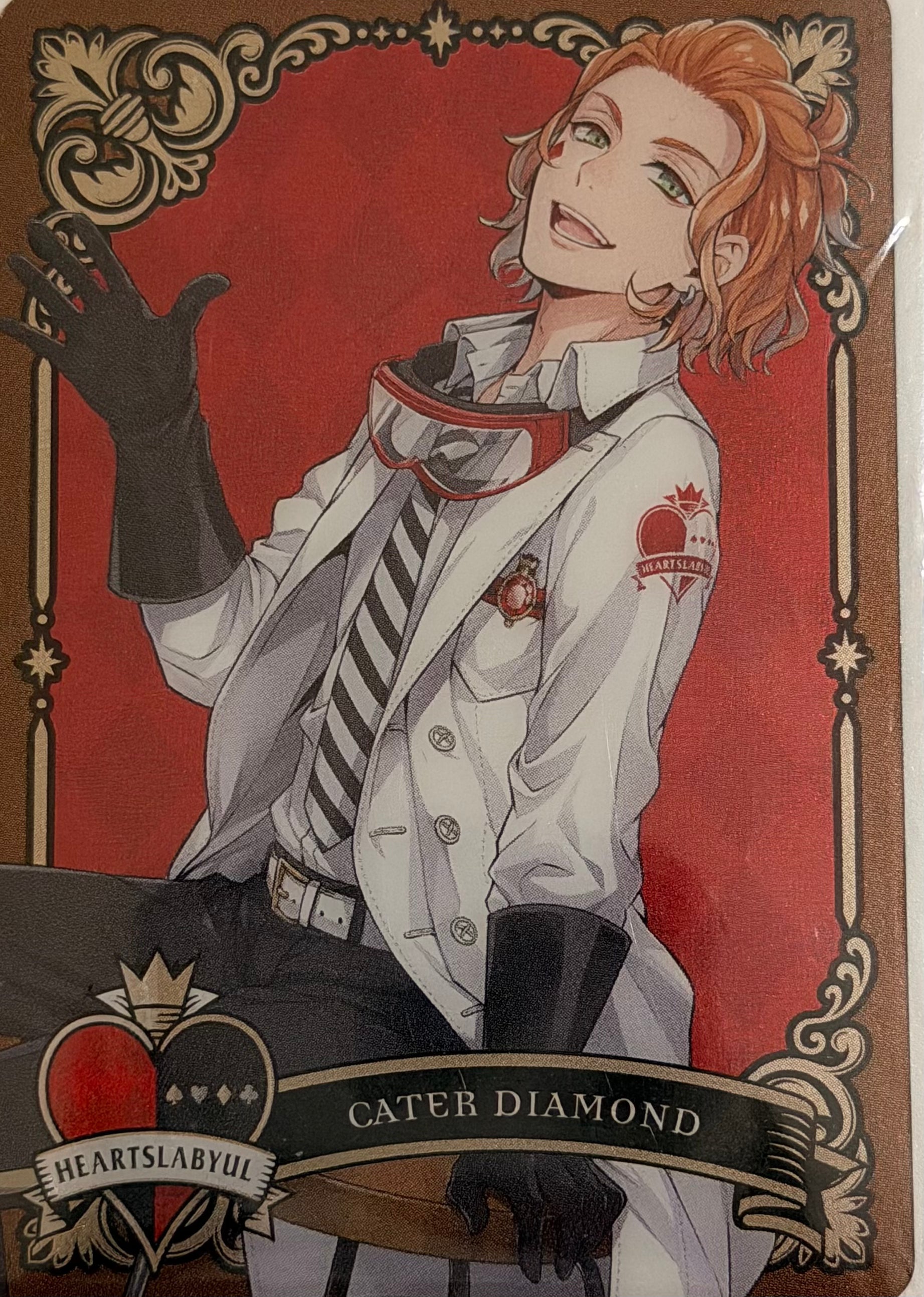 Twisted Wonderland Official Collector Collector Cards JP 1