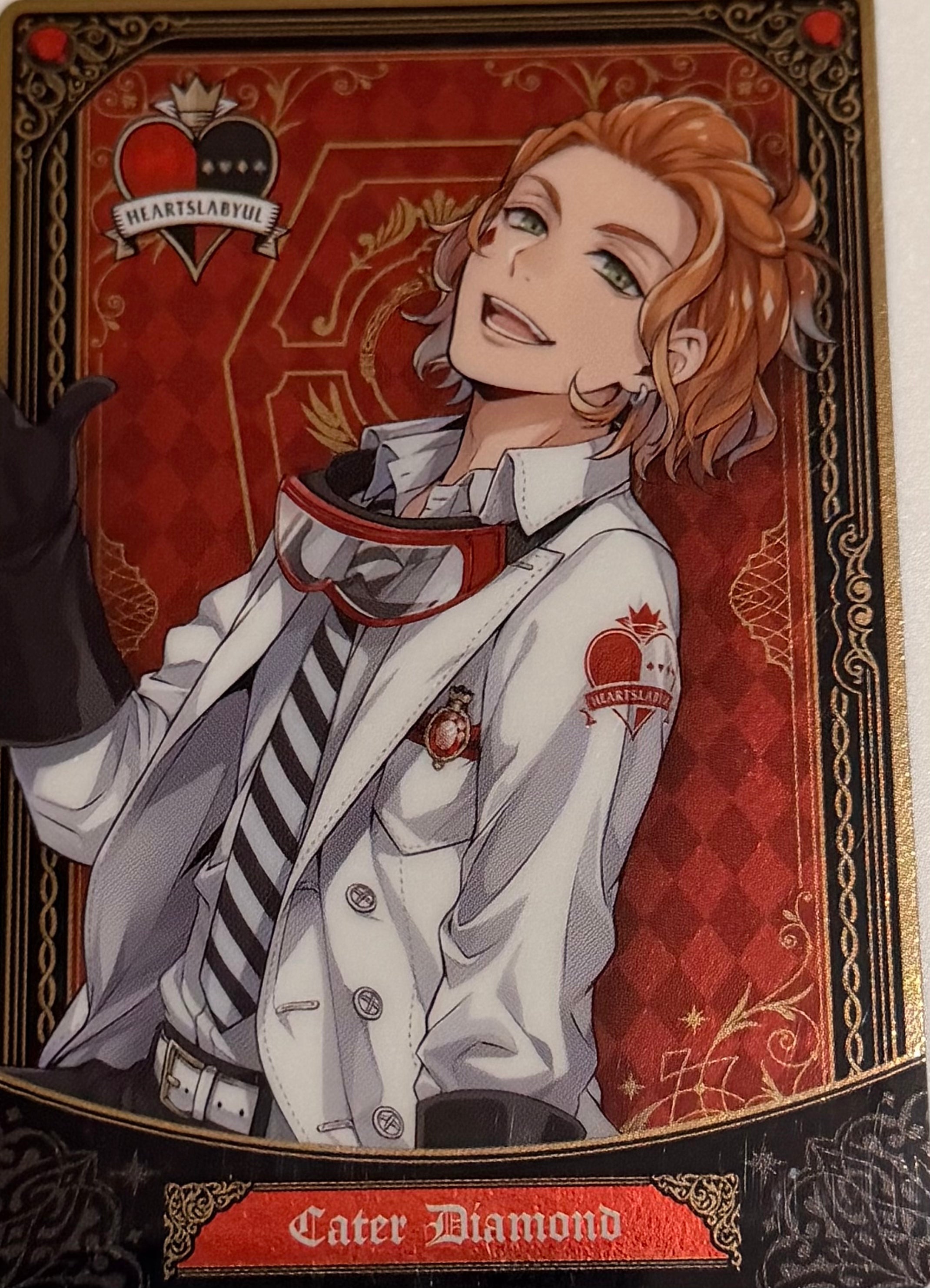 Twisted Wonderland Official Collector Collector Cards JP 1