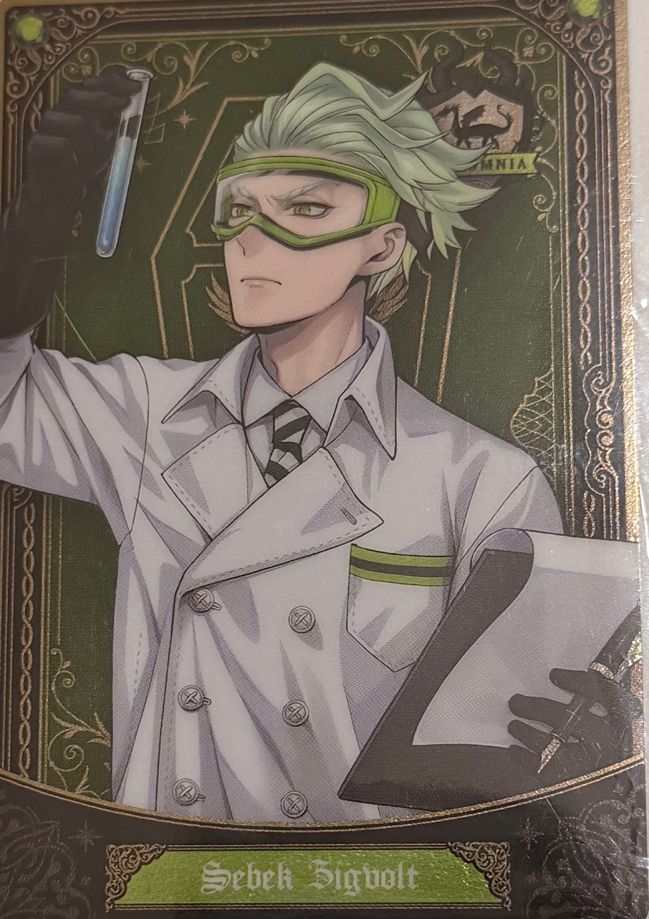Twisted Wonderland Official Collector Collector Cards JP 5