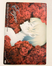 Sword Art Online Alicization Eugeo Collector Card JP