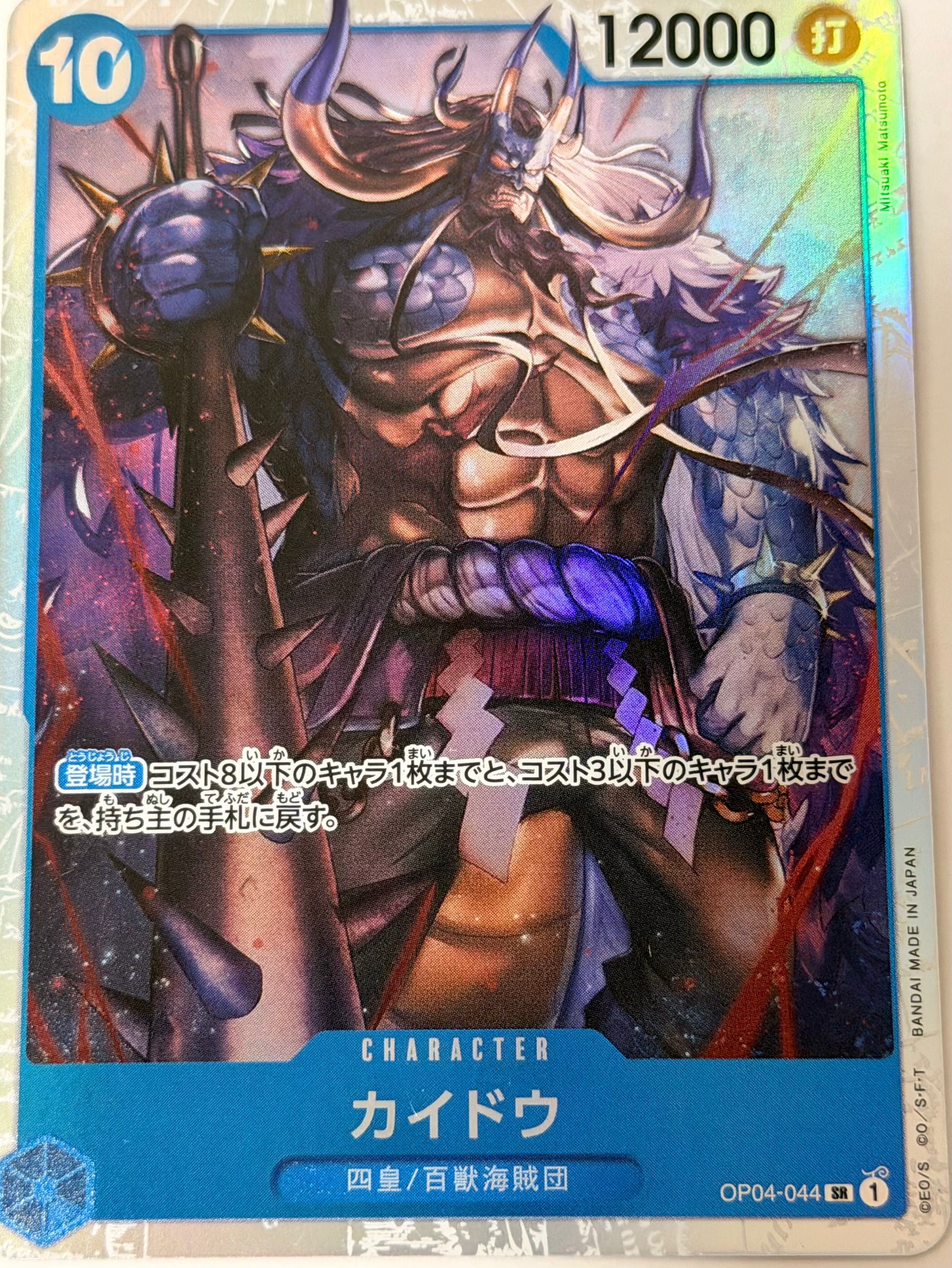 One Piece Card 25