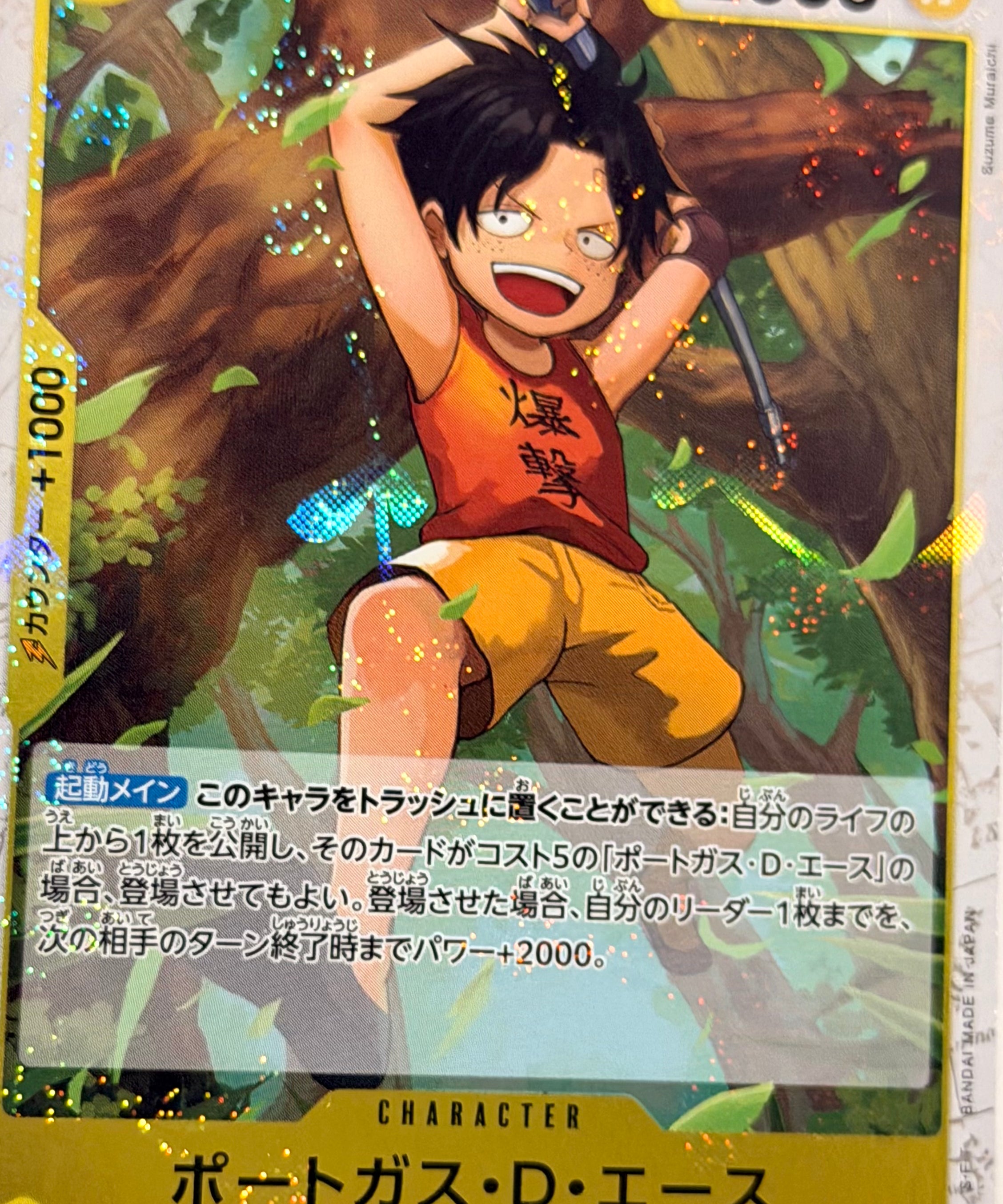 One_Piece_Card2.heic