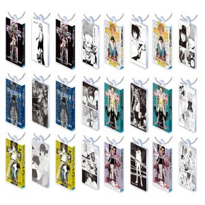 Death Note Official Manga Book Acrylic Keychain Gashapon (1 Random)