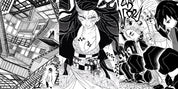 Demon Slayer: Complete Manga Box Set